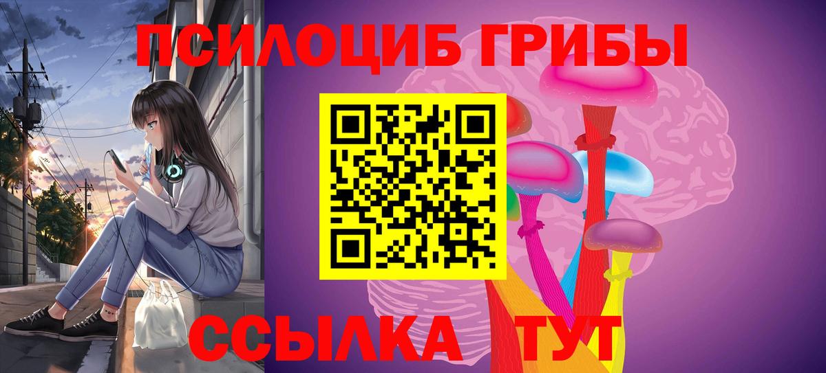 Строитель  Галлюциногенные грибы MAGIC MUSHROOMS  купить закладку  Вход с VPN 